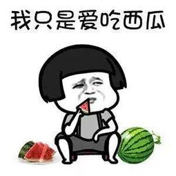 娱乐吃瓜酱蠢人